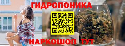 дурь Славгород
