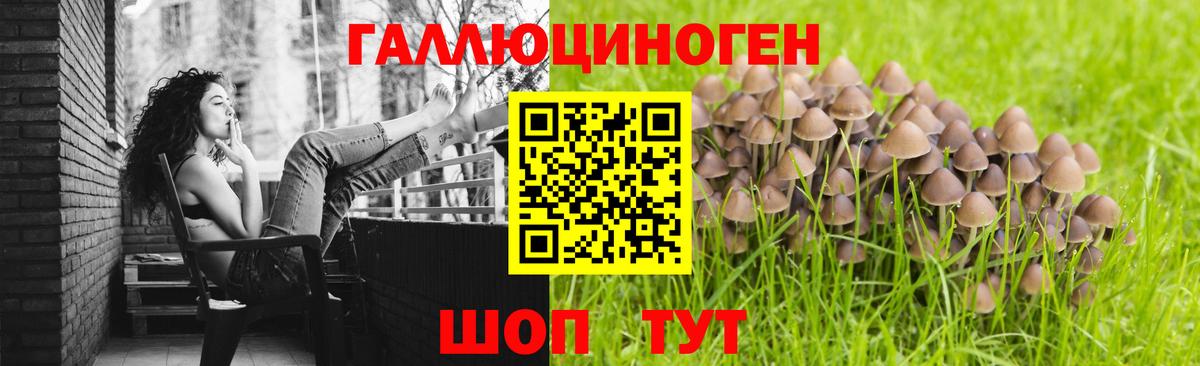 Нарткала  Галлюциногенные грибы Magic Shrooms  Вход с VPN  Псилоцибиновые грибы Psilocybe 